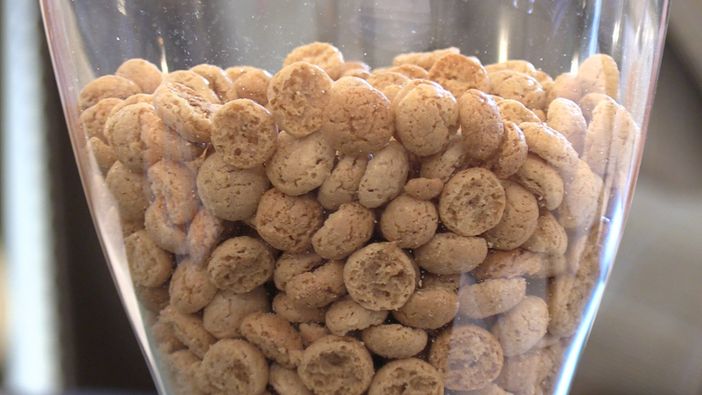 Chivasso si avvicina al suo "Capodanno": arriva il gran finale della festa dei Nocciolini