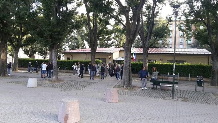 Potatura di Corso Umbria, i dubbi della Circoscrizione 4