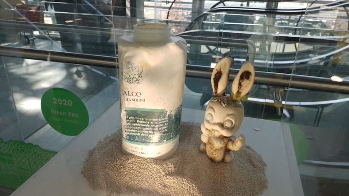 Paola Bragantini Paola Bragantini