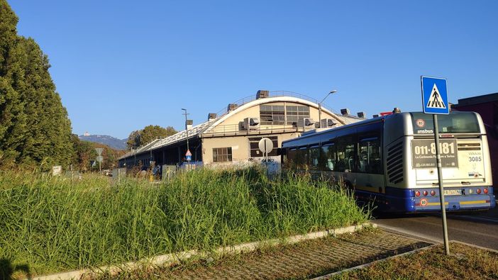 Vanchiglia, quando la rotonda diventa una “foresta” la visibilità scarseggia