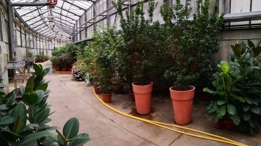 Complesso Bonafous, 1 milione di euro per il recupero delle serre e per la realizzazione di un vivaio forestale Complesso Bonafous, 1 milione di euro per il recupero delle serre e per la realizzazione di un vivaio forestale