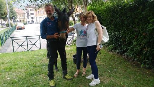 L’impresa di Silvano Degiovanni: scalare i 3.500 metri del Rocciamelone a dorso della sua mula "Pioggia" L’impresa di Silvano Degiovanni: scalare i 3.500 metri del Rocciamelone a dorso della sua mula "Pioggia"