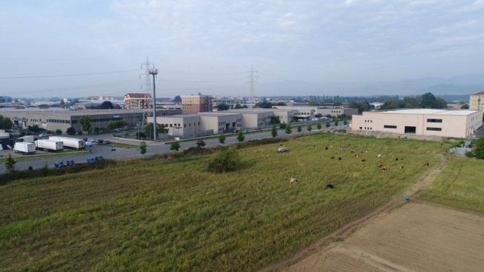 A Nichelino un nuovo sito di stoccaggio alimentare: in arrivo 200 posti di lavoro A Nichelino un nuovo sito di stoccaggio alimentare: in arrivo 200 posti di lavoro