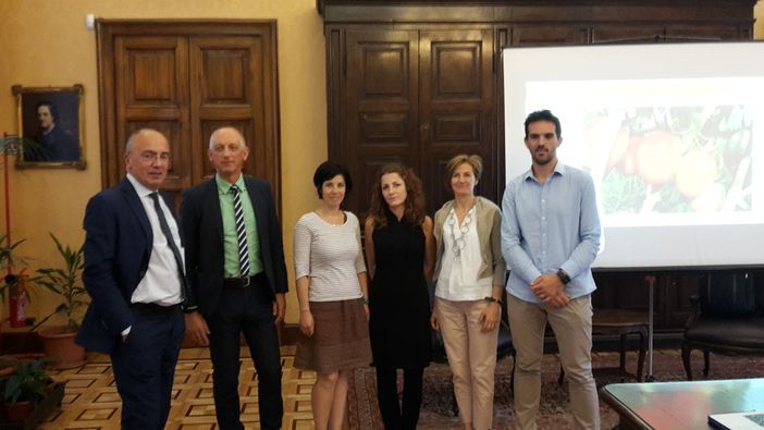 Tomres, l'Università di Torino punta al pomodoro sostenibile