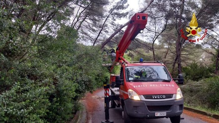 Maltempo, Moncalieri e la cintura sud superano l'esame senza conseguenze