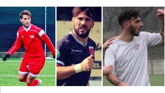 Dalmasso dell'Olmo, Erbini del Trino e Spoto dell'Hsl