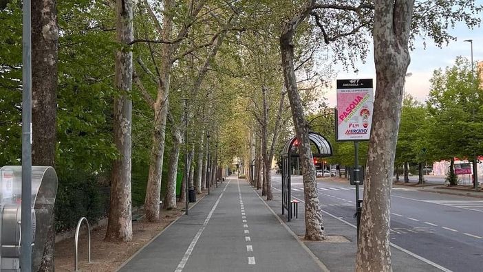 viale nichelino ripulito dai rifiuti