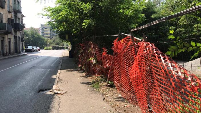 Paracchi, “disboscato” il marciapiede di via Pianezza Paracchi, “disboscato” il marciapiede di via Pianezza