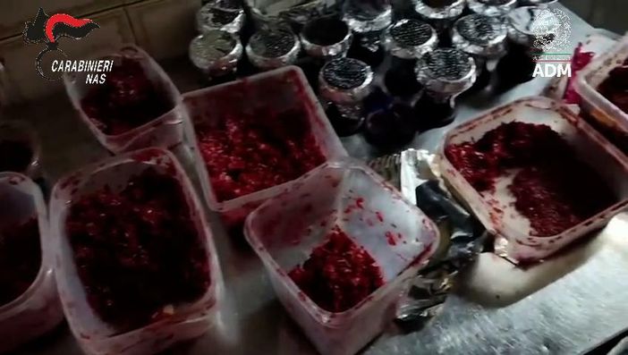 Melassa di contrabbando in alcuni locali di Torino