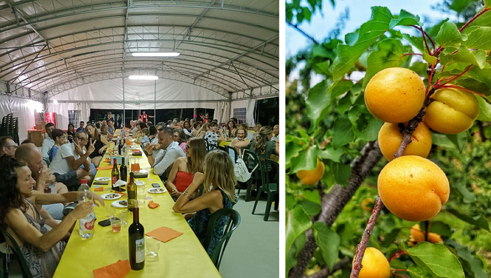 collage di immagini di una fiera di strada
