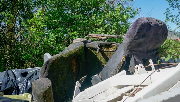 Giornata mondiale dell'Ambiente: il bilancio di Pro.Civi.Co.S.