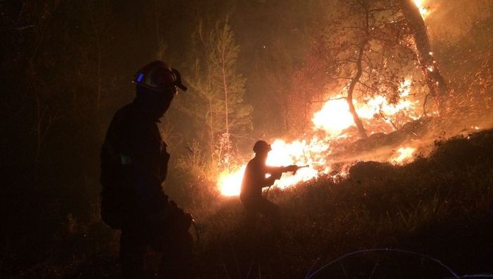 Incendi boschivi, approvato il nuovo piano regionale fino al 2025