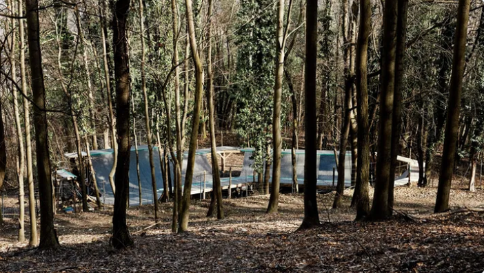 Pista da skate in un bosco