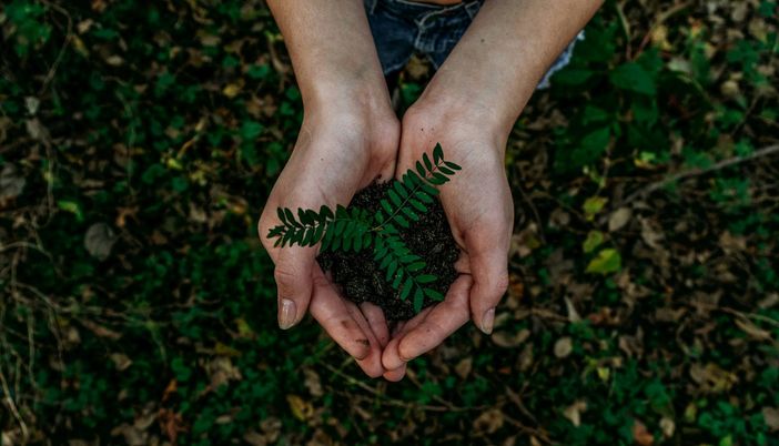 Noah Buscher- unsplash