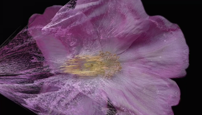 Share Festival a Paratissima con il progetto Elaborator. The heart of the Artificial Intelligence Share Festival a Paratissima con il progetto Elaborator. The heart of the Artificial Intelligence