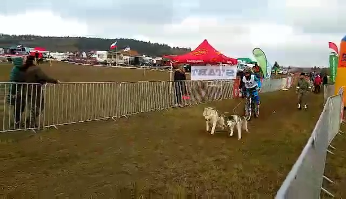 Il bibianese Vercellone quinto di categoria alla prima prova di bikejoring degli Europei