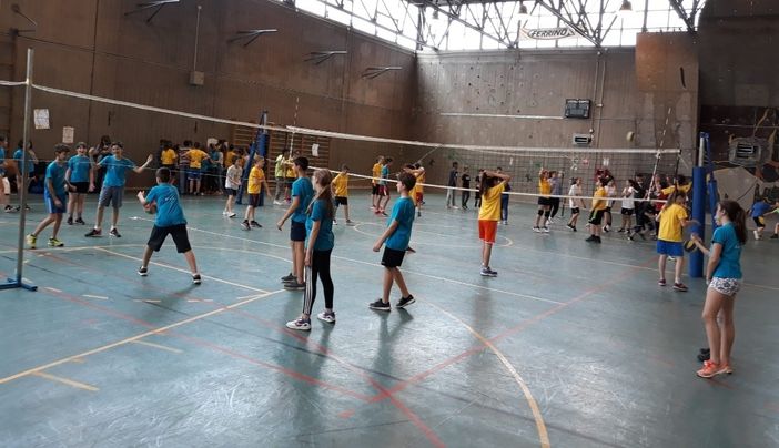 studenti palestra rivoli studenti palestra rivoli