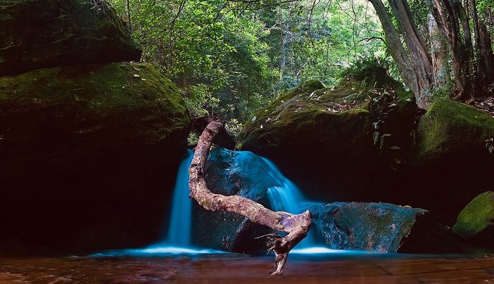 Torinodanza 2020, Cristina Kristal Rizzo presenta in prima nazionale il suo nuovo &quot;Toccare the White Dance&quot;