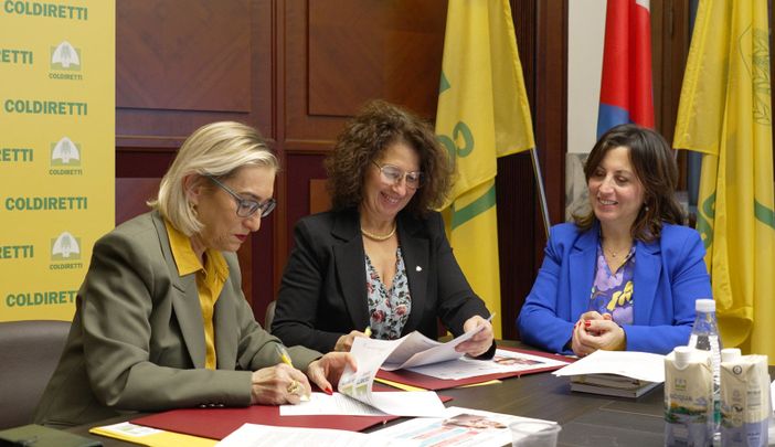 Donne sedute a un tavolo Donne sedute a un tavolo