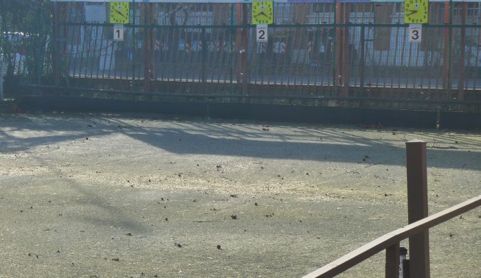 A Parella, aperto il bando per le bocciofile di via Carrera e corso Telesio A Parella, aperto il bando per le bocciofile di via Carrera e corso Telesio