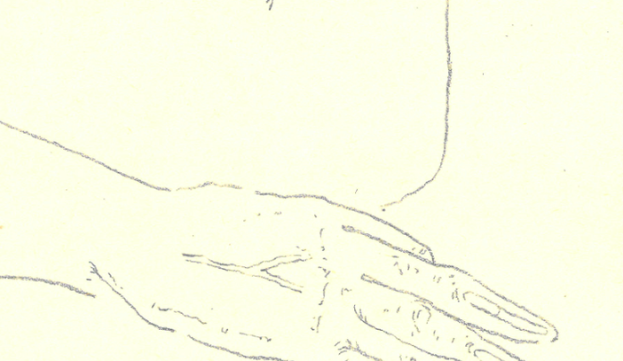 Nina Bertoletti, i disegni della giovane artista torinese in mostra da Conservatoria Pastis Nina Bertoletti, i disegni della giovane artista torinese in mostra da Conservatoria Pastis