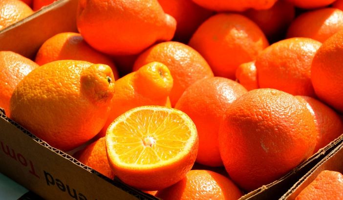 Carnevale di Ivrea, parte da Torino l'impegno contro il caporalato Carnevale di Ivrea, parte da Torino l'impegno contro il caporalato