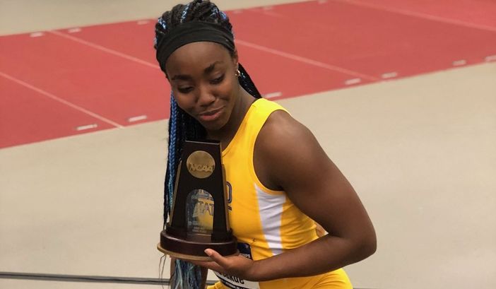 Aggressione all'ateta Daisy Osakue, Chiamparino: "Rischio imbarbarimento della società"