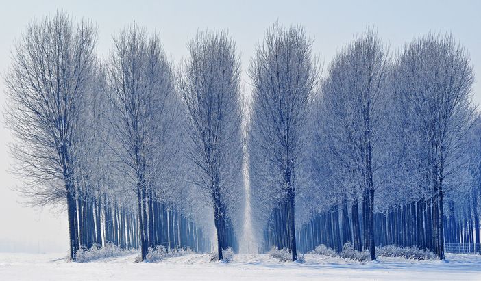 Foto, libri e teatro: così il Mausoleo della Bela Rosin festeggia la Giornata nazionale dell'Albero Foto, libri e teatro: così il Mausoleo della Bela Rosin festeggia la Giornata nazionale dell'Albero