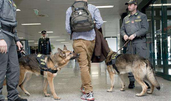 Atterra a Caselle con le foglie di coca in valigia: rischia 4 anni di carcere Atterra a Caselle con le foglie di coca in valigia: rischia 4 anni di carcere