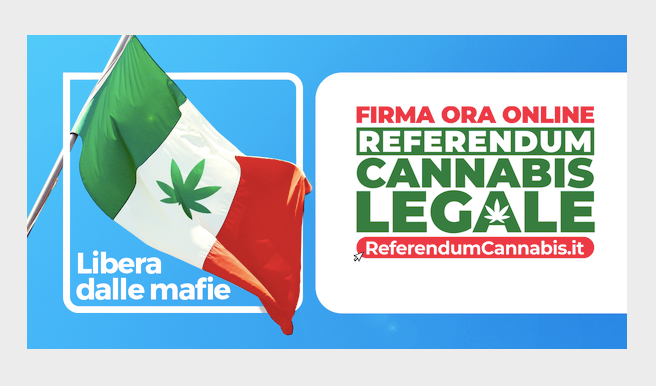 Referendum Cannabis: Justmary è partner di Megliolegale nella raccolta firme Referendum Cannabis: Justmary è partner di Megliolegale nella raccolta firme