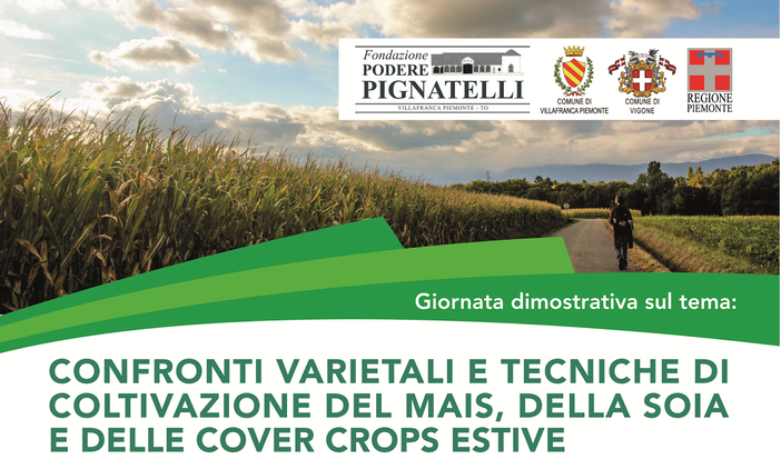 Mais e soia, una giornata dimostrativa alla Fondazione Podere Pignatelli Mais e soia, una giornata dimostrativa alla Fondazione Podere Pignatelli