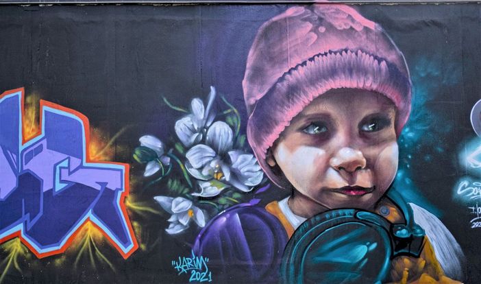 murales nichelino murales nichelino