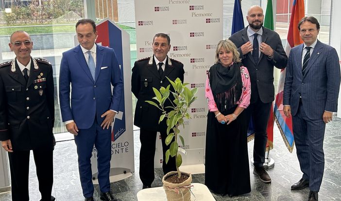 Dalle gemme del Ficus di casa Falcone fino al Grattacielo: a Torino l’albero della Legalità Dalle gemme del Ficus di casa Falcone fino al Grattacielo: a Torino l’albero della Legalità