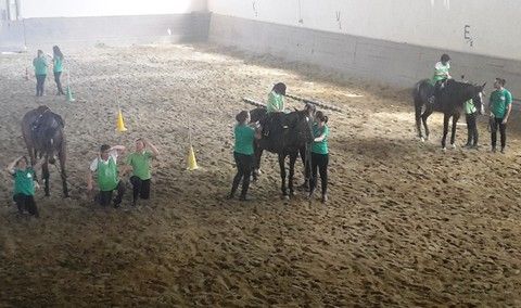 Apres e &quot;ippoterapia&quot;: da 34 anni a Torino la terapia si fa con il cavallo