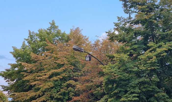 Pinerolo si prepara alla rivoluzione a led dell’illuminazione pubblica