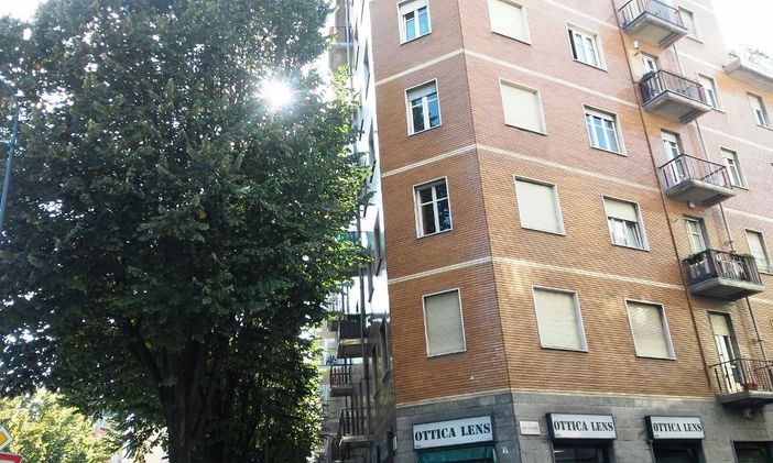 La cura degli alberi in città. Gli interventi in corso a Torino