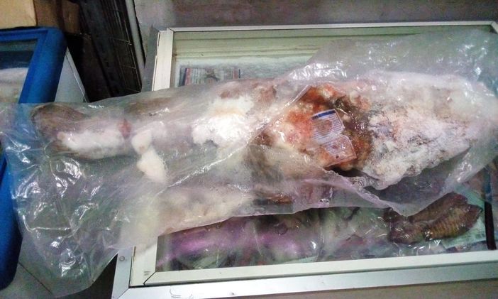 Alimenti in cattivo stato di conservazione: quasi 25 mila euro di multa e sospensione dell'attività per un negozio di corso Vittorio Emanuele