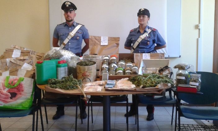 In garage e mansarda serre per la produzione di marijuana