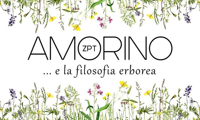 Parrucchiere erboreo certificato, trattamenti di bellezza secondo natura