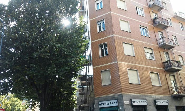 Ivrea, sostituzione dei pioppi cipressini di Piazza Perrone