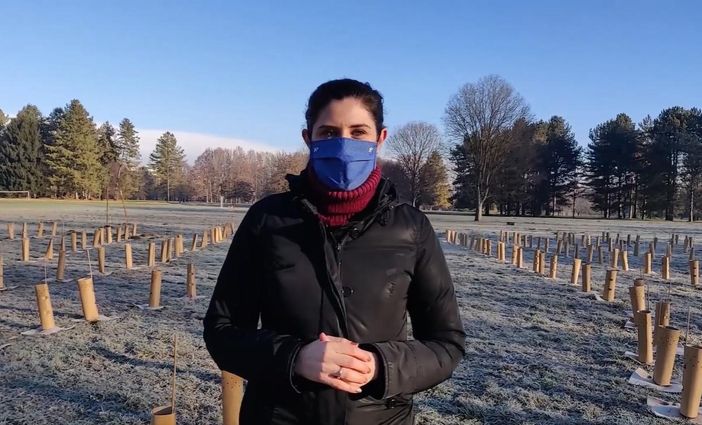 Appendino con alberi piantati al parco della Pellerina
