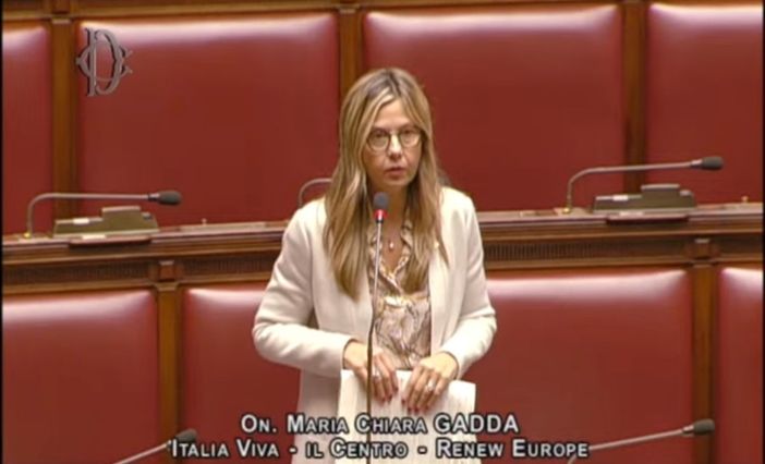 Peste suina africana, Gadda (Iv): "Serve cambio di passo. Per il Governo sembra che l’emergenza sia iniziata oggi"