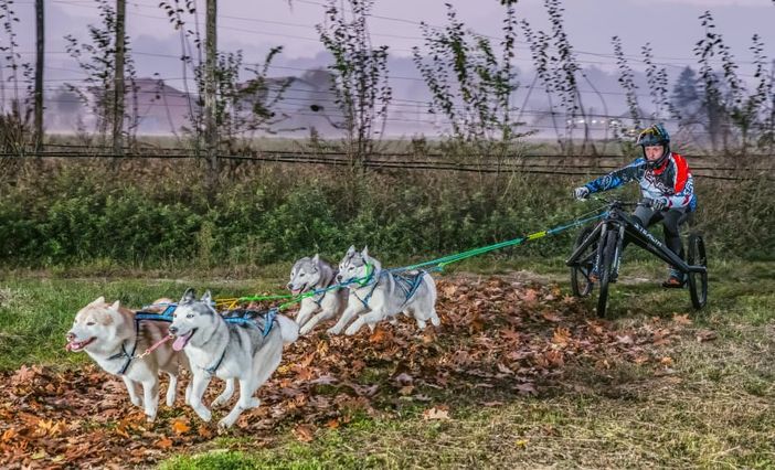 Matteo Vercellone con i suoi husky