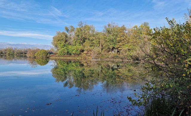 A Torino apre al pubblico una nuova oasi naturalistica: il lago di Villaretto