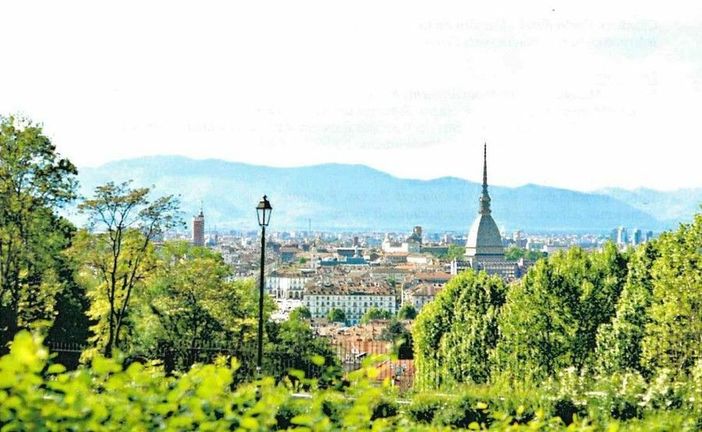 Lusso e biodiversità, perché i quartieri ricchi hanno più natura? Lo studio dell'Università di Torino Lusso e biodiversità, perché i quartieri ricchi hanno più natura? Lo studio dell'Università di Torino