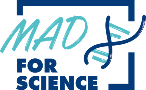 Mad For Science, 44 i licei scientifici del Piemonte iscritti al concorso per vincere 60mila euro