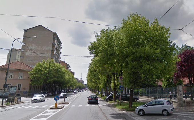 Alberi di corso Belgio, i temporali fanno rialzare la tensione tra cittadini e Comune: “Mobilitiamoci”