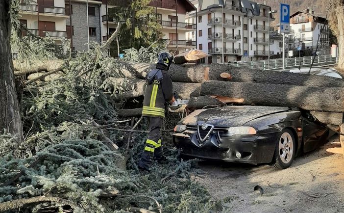 Forte vento in Val di Susa, un albero cade e distrugge un'auto a Bardonecchia