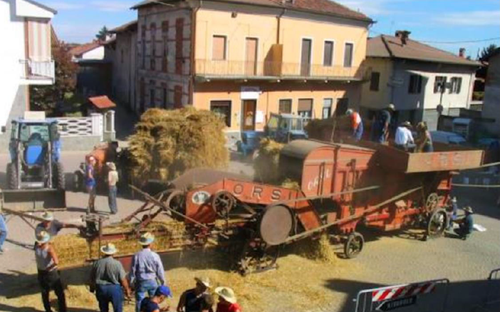 fiera agricola Bosconero fiera agricola Bosconero