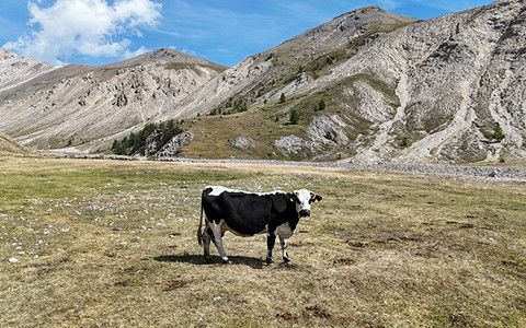 1,5 milioni per le imprese delle valli Maira, Grana, Lanzo e Bormida